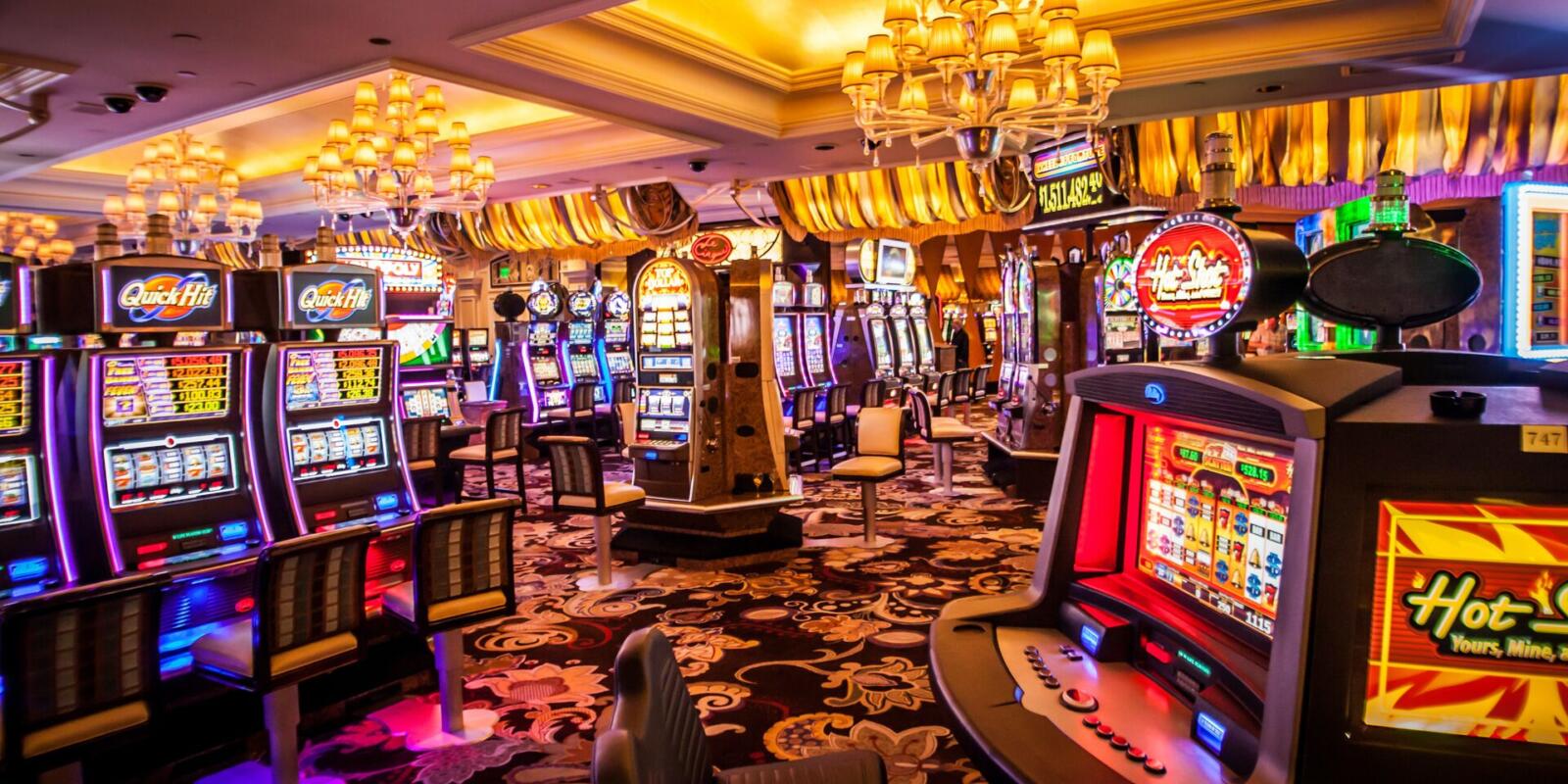 PlayOJO – 50 Free Spins No Wagering